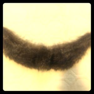 Raccoon fur collar 12”